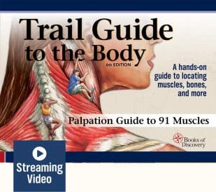 Trail Guide To The Body